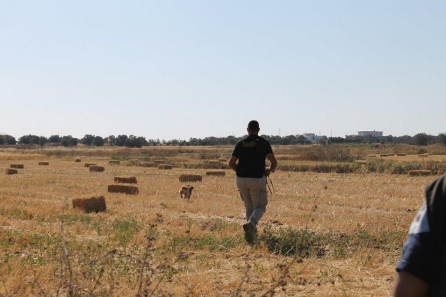 Αγωνες Α.Κ.Ι 11/6/2017
